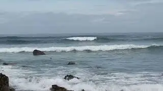 Yo Solo Quiero Hacer Surf