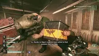 Rare instance of an Ogryn bonding with a zealot - Warhammer 40k: Darktide