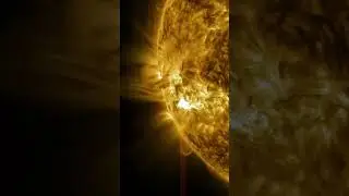 NASA&rsquo;s Illuminate: The Sun&rsquo;s Cycle ☀️ | Solar Maximum in Action! 🔥 #ourgalaxy83 #sun #shorts #nasa