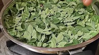 Healthy Moringa and  Curry leaves podi | munagaku karam podi | @vijayacookbook