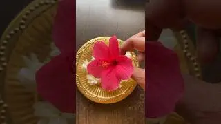 Flower harvest #plantify #flowers #harvest #shorts #vlog #spirituality #devotional #sadhana