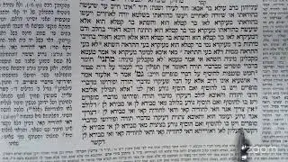 Let's Daf with Yosy Simon Sanhedrin Daf 88 