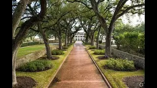 Living in Terrell Hills, TX: The Ultimate Local Guide | Homes.com