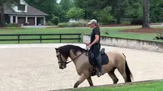 Artful Riding Clinic - Celie working riding young horse