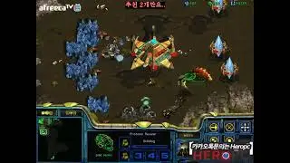 FPVOD Bisu vs Mind PvT Game 1 14 03 2016 Starcraft Brood War