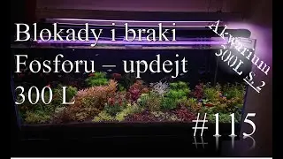 Akwarystyka 115 - Blokady i braki fosforu + wymiana ceramiki i pozdrowienia od pomocnika nr 3 :)