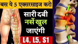 कमर की दबी नस घर पर खोलें | ExercisesFor Sciatica Pain Relief Exercises Back Pain Relief Exercises