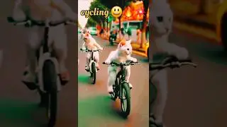 Cycling 🔥💥😱 #cat #viralvideo #shorts #funny