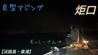 【365日釣り生活】139日目1月18日の「もっしーちゃんねる」さんとのアジングが最高だった日❗❗