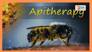Kenya's Gold feature | Apitherapy [ Part 1]