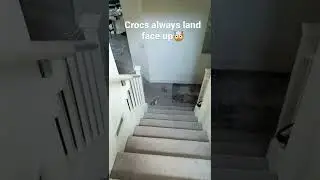 Crocs always land face up
