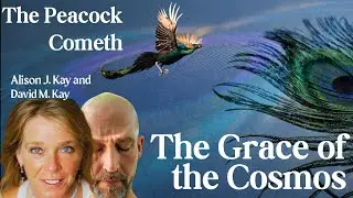 The Grace of the Cosmos &bull; The Peacock Cometh, with Alison J. Kay and David M. Kay &bull; ep 4