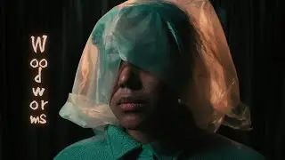 Pixilation Short Film | Woodworms
