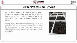 Pepper: Processing (FT)
