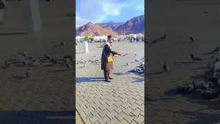 #islamicvlogger #ajjubhai #duckybhai