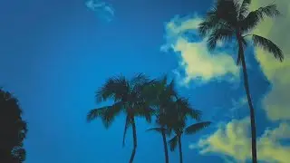 Max Dena, Harmony God, J.D. Piper - Freeway Sounds (Official Music Video)
