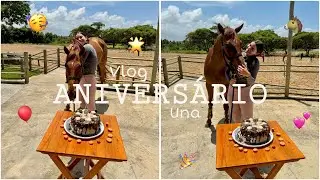Vlog - Comemoramos o aniversário da minha égua Una!