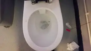Toilet in Staplehurst station