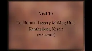 Traditional Jaggery Making