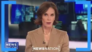 Мужчина с клещевой аллергией умер, съев бургер | Элизабет Варгас Репортаж