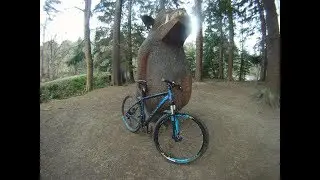 Hamsterley Forest MTB Trails - Red Route