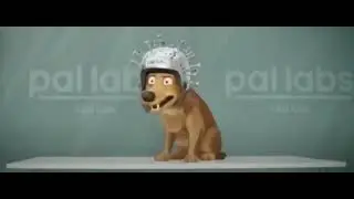 hello i am dog #293