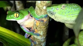 Costa Rica Cloud Forest Adventure