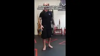 Unlock the Power of Silat's Side Inverted Punch!