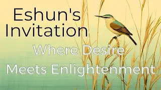Zen Powerful Exploration (Zen Koans)