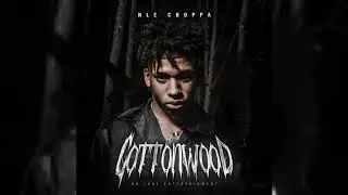 NLE Choppa - Untold (Official Audio)