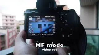 Sony A7rii +Sigma mc-11+ canon 50mm f1.2 L Auto Focus Speed Test in Video Mode