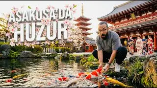 Tokyo'nun Kalbinde Saklı Bir Cennet: Senso-ji'nin Bilinmeyen Bahçesi