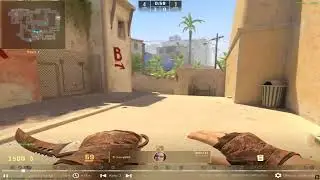 deagle eco ace