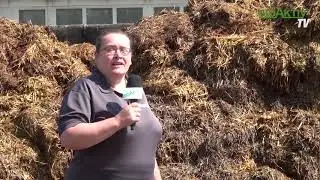Anwendung von BioAktiv Professional Kompost
