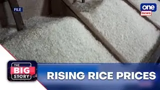 Food security emergency aims to curb rising prices of rice &mdash; DA  | The Big Story