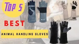 Update Best Animal Handling Gloves 2021