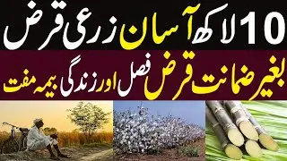 Govt Zarkhez-e Digital Loan Program | Federal Govt Relief for Farmers ||