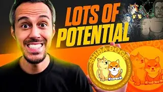 SHIBADOGE 🌠 New Update on Elon Charity Space Event + Bringing Top Crypto Communities Together 🌠
