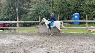 Thank you, Lower Puget Sound Dressage Club 2022!