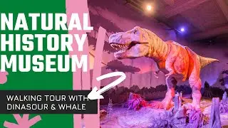 London Natural History Museum Walking Tour & Dinosaur & Whale