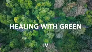 Beautiful Green Visuals . Green is Calming , Relaxing , Mindfulness Meditation with GV P.4