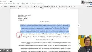 Review of MLA and essay format
