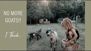 We Are DONE Buying Goats!! ....Maybe???