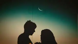 Kensington   sorry   with lyrics