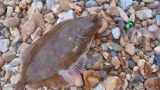 plaice and whiting fishing on hythe beach / sea fishing uk