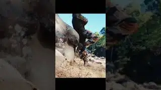 Indian Army sad Status