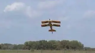 Hangar 9 Ultimate 10-300 46% 3D Freestyle Flying