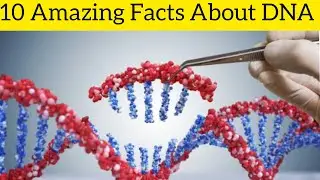 10 Amazing Facts About DNA In Hindi Short||Amazing Facts||#shorts