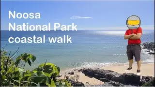 A great day on the Noosa National Park coastal walk | Queensland AU | Kabi Kabi Country | Ep 15 2022