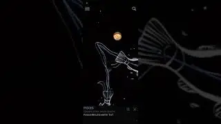 Augmented Reality